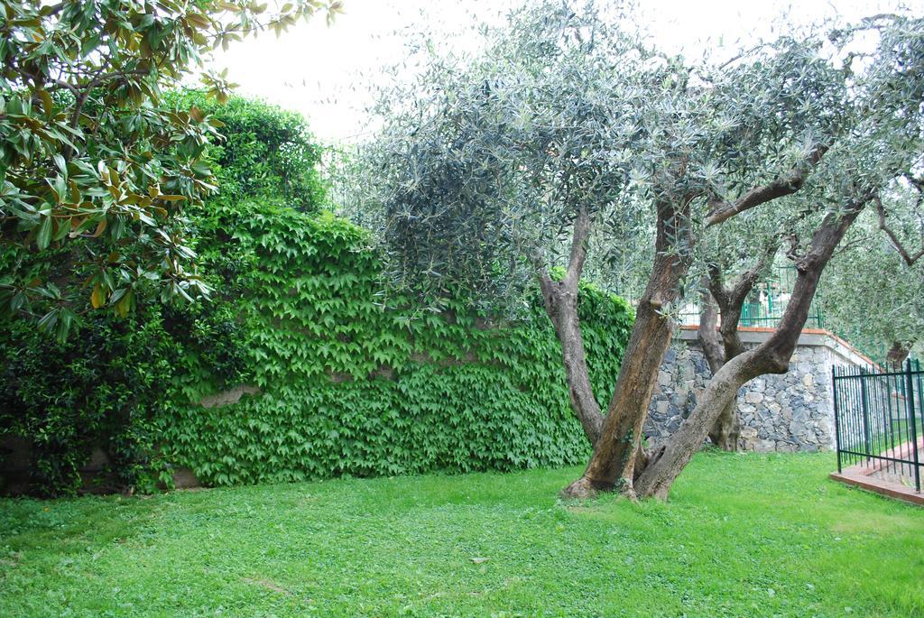 Aparthotel Dei Fiori Pietra Ligure