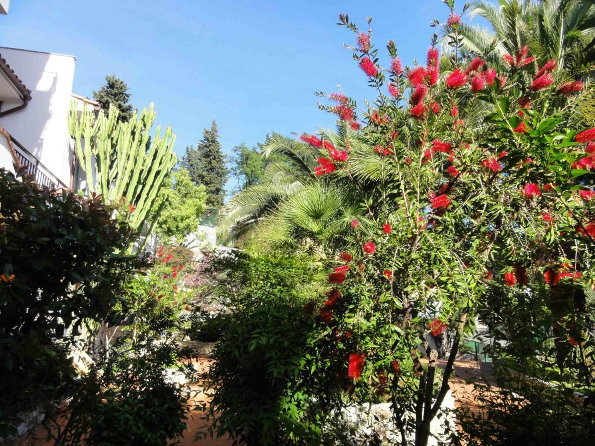 Dei Fiori Pietra Ligure